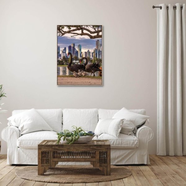 Canvas Print of Albert Park Swan Family, Melbourne, Victoria in Living Room