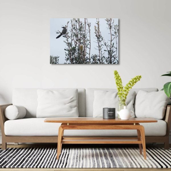 Canvas Print of Bird Exploring Alone in Living Room