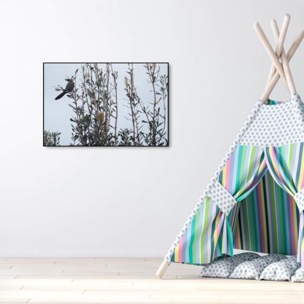 Canvas Print of Bird Exploring Alone in Playroom