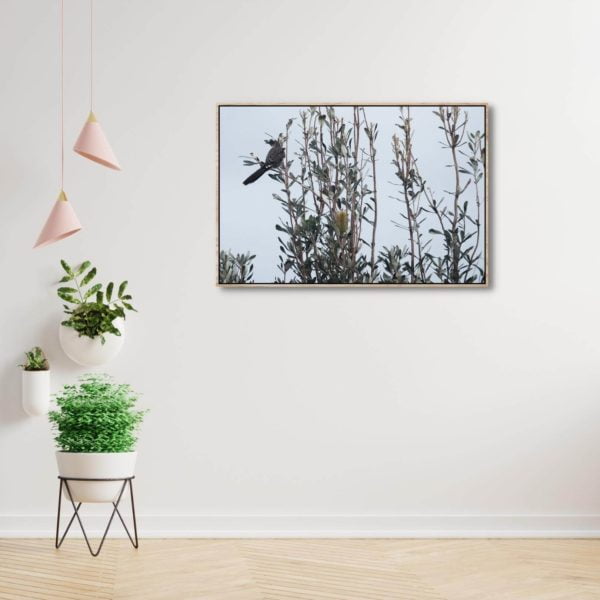 Canvas Print of Bird Exploring Alone in Living Area