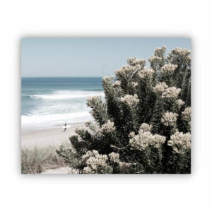 Canvas Print of Blooming by the Beach
