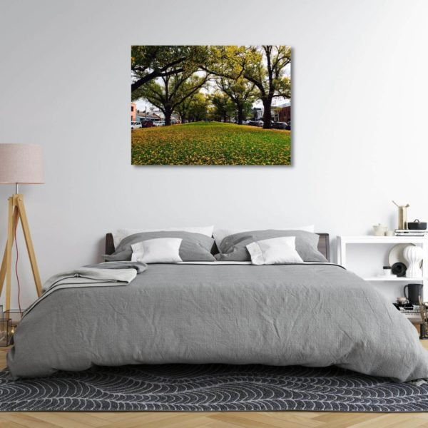 Canvas Print of Carlton in Spring, Melbourne, Victoria in the Bedroom