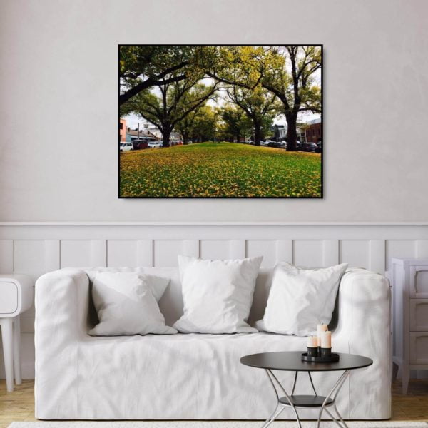 Canvas Print of Carlton in Spring, Melbourne, Victoria in the Living Room