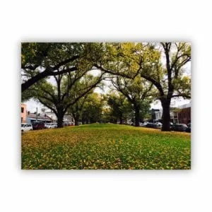 Canvas Print of Carlton in Spring, Melbourne, Victoria