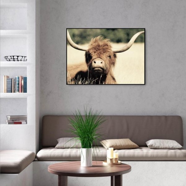 Canvas Print of Highland Cow Chill in Living Room