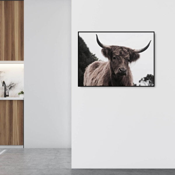 Canvas Print of Highland Cow Eyes in Room