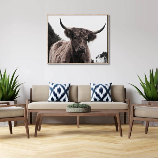 Canvas Print of Highland Cow Eyes in Living Room or Office