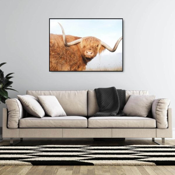 Canvas Print of Highland Cow Long Horn in Living Room