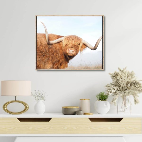 Canvas Print of Highland Cow Long Horn in Room