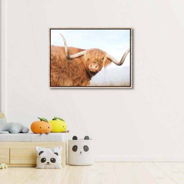 Canvas Print of Highland Cow Long Horn in Playroom