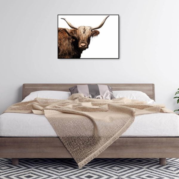 Canvas Print of Highland Cow White Horn in Bedroom