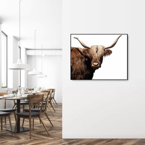 Canvas Print of Highland Cow White Horn in Dining Room