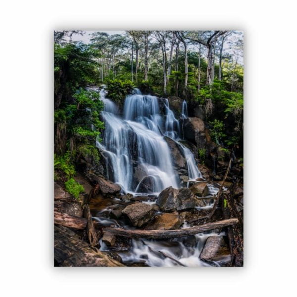 Canvas Print of Toorongo Falls, Victoria