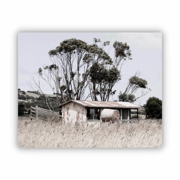 canvas print of a peaceful farm house with big trees in the background.