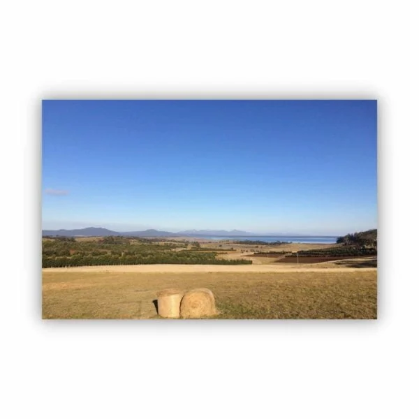 A photo a big farm field with hay bales in a clear blue sky day.