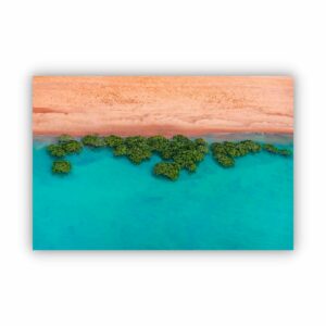 aerial photography of mangroves in Broome WA.