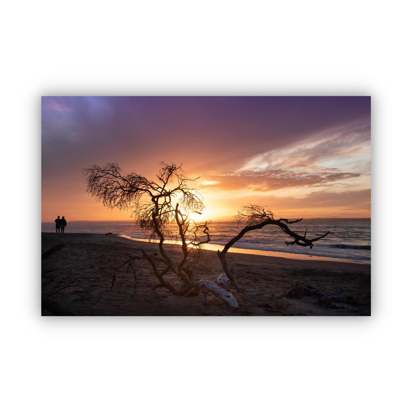 sunset-mornington-mem-prints